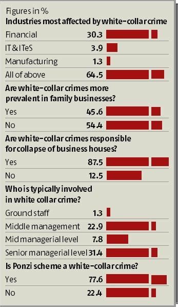 White Collar Crime Losses From Frauds Rise 80 From Last Year Says