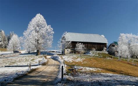 Hd The First Snow Wallpaper Download Free 93003