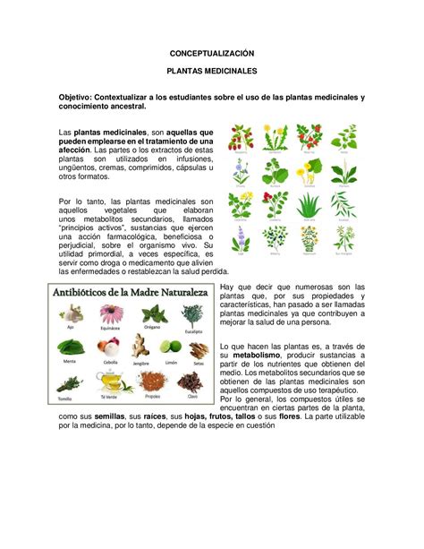 Calaméo Conceptualización Plantas 3