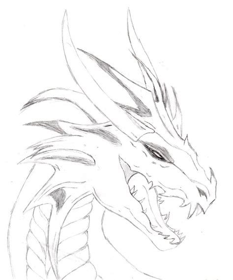 Free Dragon Drawing Download Free Clip Art Free Clip Art