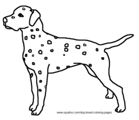 Dog Breed Coloring Pages Sketch Coloring Page