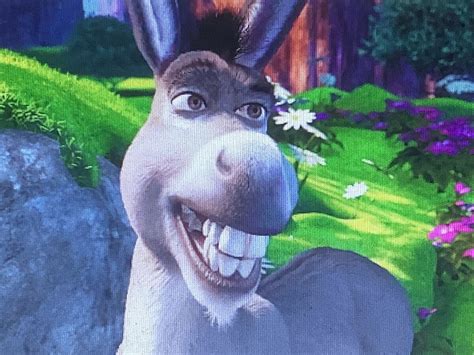 Donkey Shrek Animaerockz Wiki Fandom