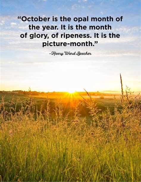 Aug 27, 2021 · the month of october. 25 October Quotes - Famous Sayings and Quotes about October
