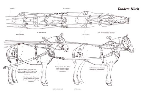 Diagram Work Horse Harness Diagram Mydiagramonline