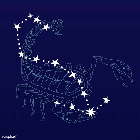 Scorpio Zodiac Sign Royalty Free Stock Illustration 1201353