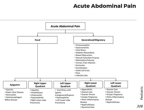Pediatric Acute Abdominal Pain Differential Diagnosis Grepmed