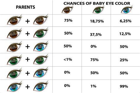 3 Facts About Eye Color Genetics Eye Color Chart Eye Color Chart All