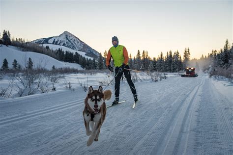 Dogs Crested Butte Nordic Nordic Ski Capital Of Colorado