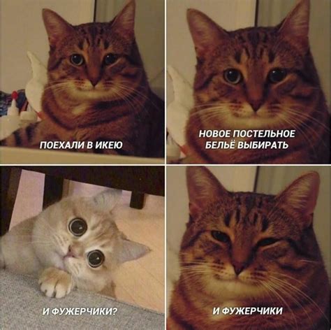 Создать комикс мем и фужерчики мем с котом мемы с котами кот