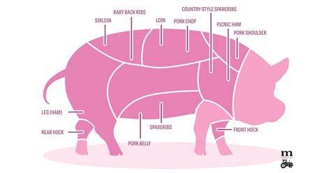 Your essential guide to the tastiest pork cuts the poke,cuts of pork (and what to do with them.) Pork Cuts 101: A Diagram - Modern Farmer