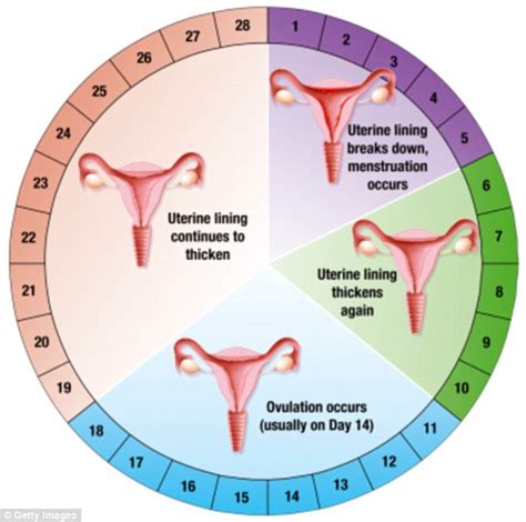 Is It Normal For Your Period Cycle To Shortened