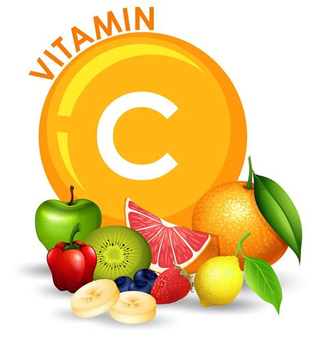 Un Conjunto De Frutas Con Alto Contenido De Vitamina C 294618 Vector En