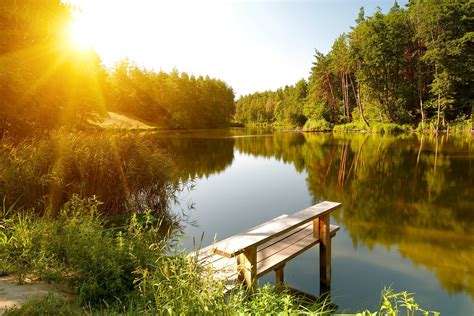 Hd Wallpaper Summer River Forest Sun Landscape