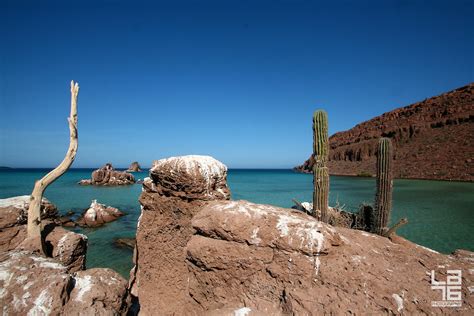 Espiritu Santo Island Isla Espíritu Santo Mexico Baja Camp La76