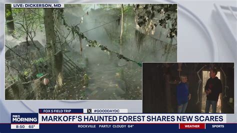 Creating the Markoff's Haunted Forest experience | FOX 5 DC