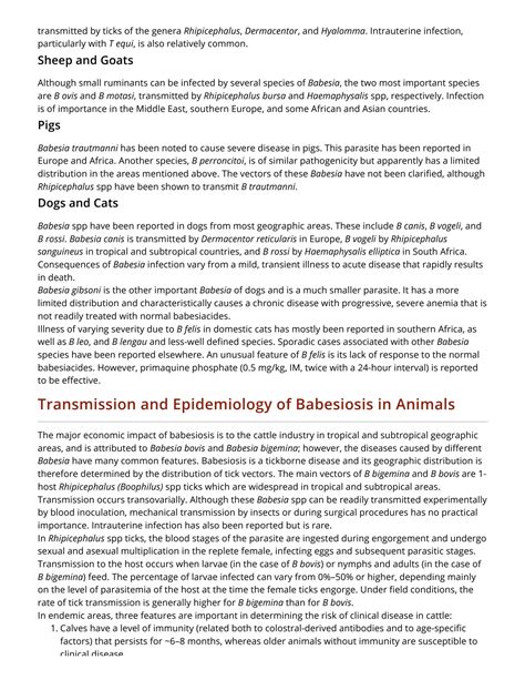 Solution Babesiosis In Animals Circulatory System Merck Veterinary