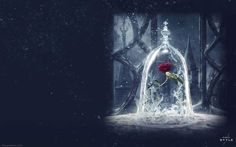 Beauty And The Beast Rose Wallpapers - Wallpaper Cave