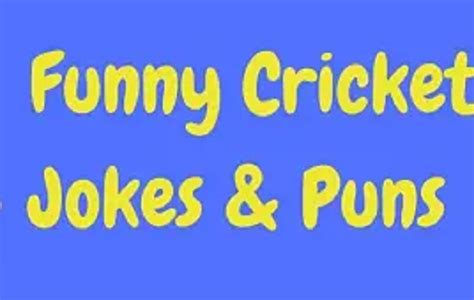 50 Hilarious Cricket Jokes And Puns To Get You Laughing Stardom Facts