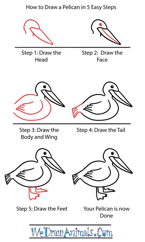 How To Draw A Pelican For Kids Drawingsforkids Net