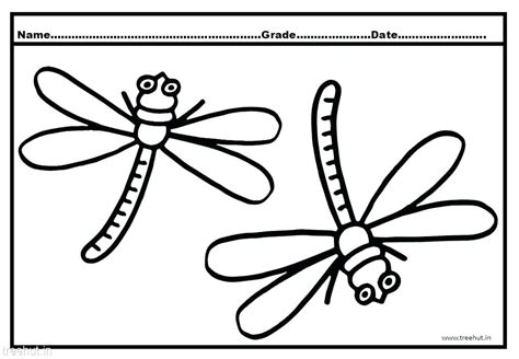 Open it and get the information inside. Dragonfly Coloring Pages For Adults at GetColorings.com ...