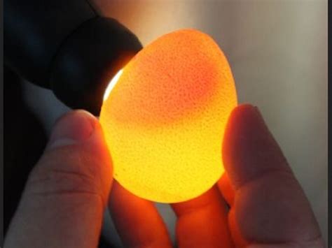 Cara Mengenali Telur Infertil Dengan Cahaya Senter Okezone Health