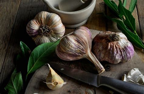 Check spelling or type a new query. 26 Natural Home Remedies for Tooth Infection Pain