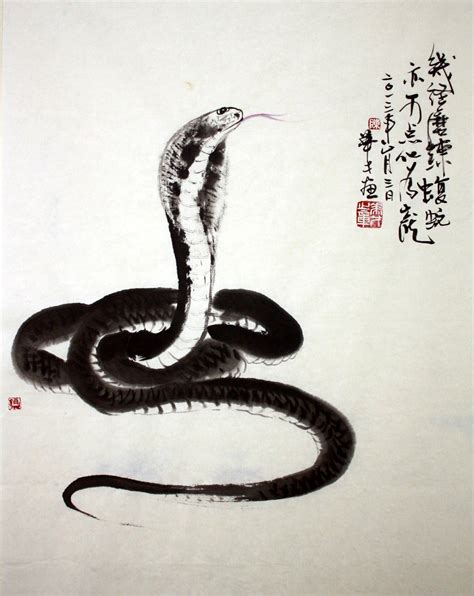 Chinese Snake Illustration