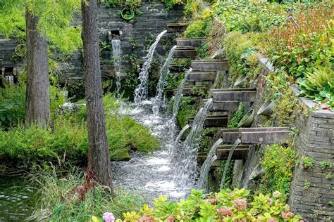 Zu sehen sind pflanzen aus südamerika, ostasien, nordamerika, mitteleuropa und ein alpinum. wdf - wupper digitale fotografie - Planten un Blomen