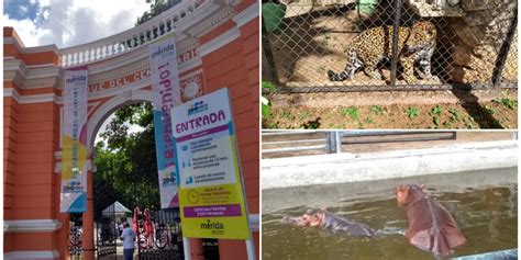 Icónico Parque Zoológico Del Centenario Reabre Este Viernes Lectormx