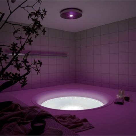 Romantic Purple Shining Bathtub Purple Bathrooms Modern Bathtub