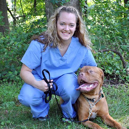 May 30, 2021 · city schools thrive in the summertime. Country Veterinary Hospital - Mt Airy, MD (With images ...