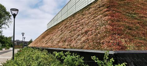 Steep Pitched Green Roofs Up To 35° Zinco Green Roof Systems Uk
