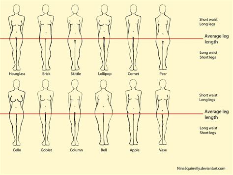 realistic woman shapes by nina squirrelly on deviantart body shape chart body types women