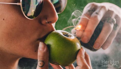Funny Things About Smoking Out Of An Apple York Pustrythe50