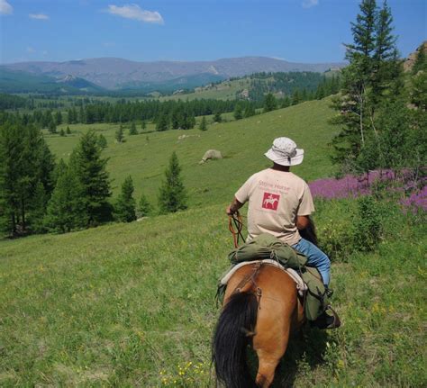 Gorkhi Terelj National Park Horse Riding Tour And Expedition