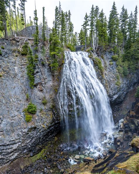 Packwood Wa Cabin Heaven And Hikers Oasis