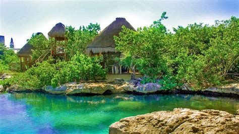 Cenotes And Paradise Lagoon Tour