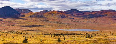 Fall Colored Alpine Mountain Tundra Yukon Canada Stock Image Image Of