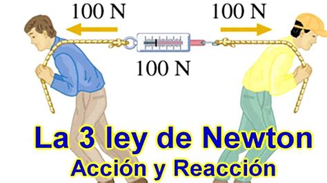 Isaac Newton Los Inventos Y Teorías Más Sorprendentes