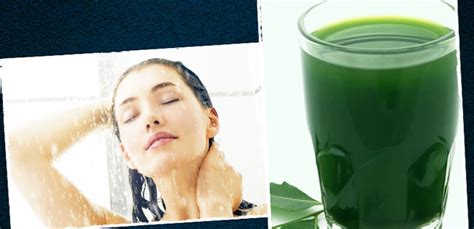 Bathing With Neem Leaves Water Can Give You These Amazing Benefits Onlymyhealth