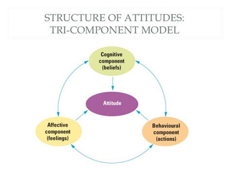 Attitudes And The Tri Component Model Of Attitudes Flashcards Quizlet