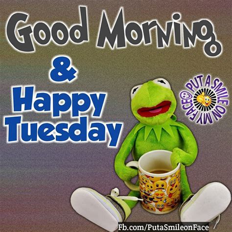 Good Morning Tuesday Quotes Funny 1 Good Morning Happy Tuesday