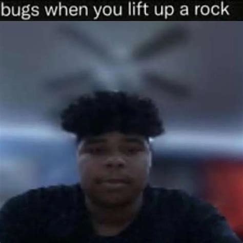 Bugs When You Lift Up A Rock Meme Bugs When You Lift Up A Rock