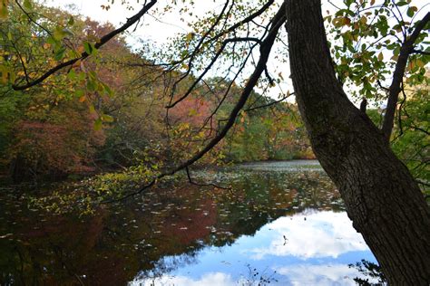 Photos Fall Foliage At Hempstead Lake State Park West Hempstead Echo
