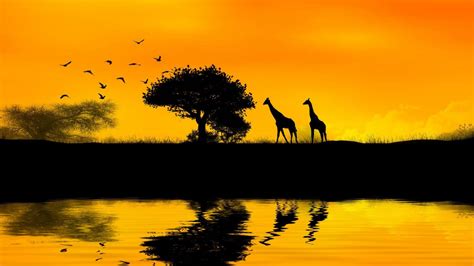 Free Download African Wallpapers Wallpaper Sunset Wallpaper Sunset