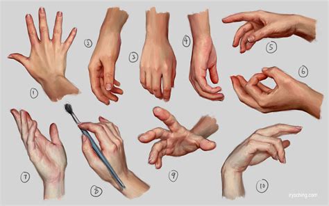 Hand Study 1 Références Pour Dessiner Une Main Dessin Main Dessin
