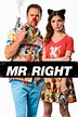 Mr. Right (2016) - Watch on Netflix or Streaming Online | Reelgood