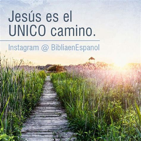 Jesús Le Dijo Yo Soy El Camino Y La Verdad Y La Vida Nadie Viene Al