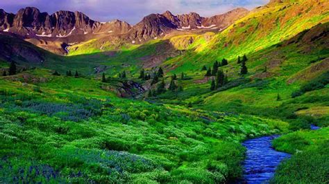 Green Mountain Landscape