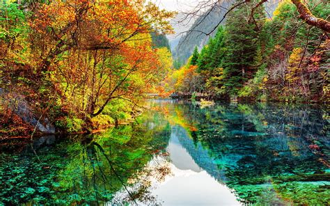 Jiuzhaigou National Park Autumn Blue Lake Forest China Beautiful